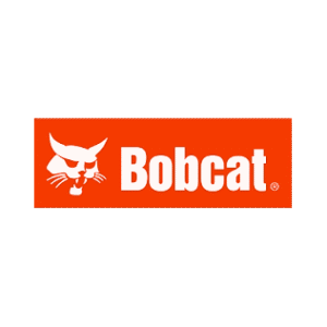 Bobcat